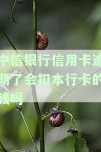 中信信用卡逾期如何与银行协商解决，逾期一天还款的影响
