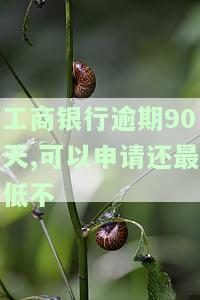 工商银行逾期几个小时，应对逾期还款的措。