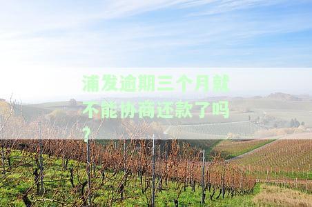 浦发逾期三个月协商还款问题解决方法