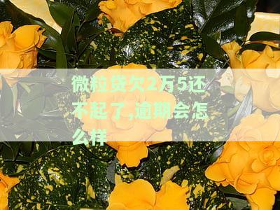 微粒贷欠2万5还不起了,逾期会怎么样吗