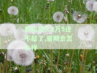 微粒贷欠两万多还不起了逾期了怎么办