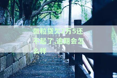 微粒贷欠款2万5怎么还，逾期会被起诉吗？