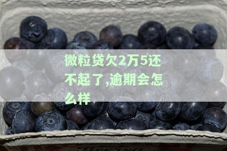 微粒贷欠20000还不起怎么办，逾期会怎么样？