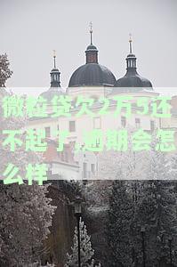 微粒贷欠2万5还不起了,逾期会怎么样