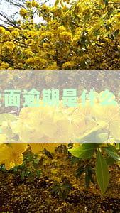 全面逾期的最结局2020：网贷信用卡全面逾期的房产最结局