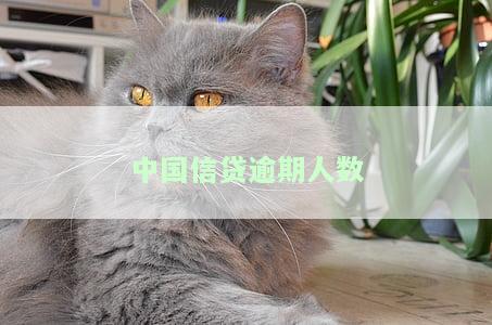 中国贷款逾期人数2023年全面停止催收网贷