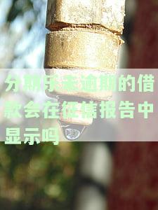 分期乐没有逾期会在征信报告上显示吗