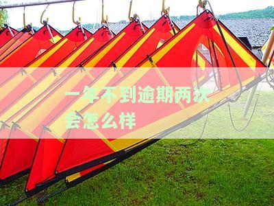 一年不到逾期两次会怎么样吗