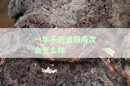 一年内有逾期是什么意思？