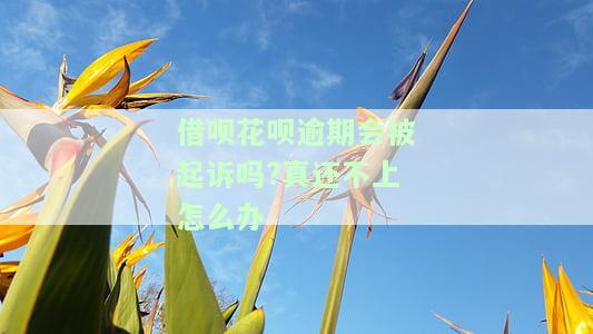 借呗花呗逾期会被起诉吗真还不上怎么办？会坐牢吗？