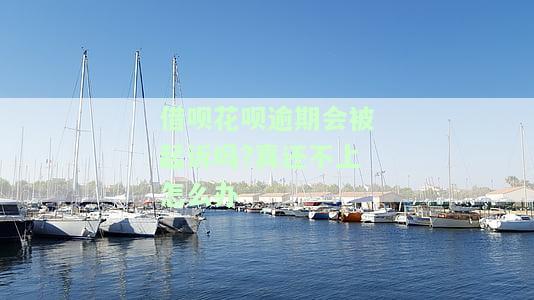 花呗借呗起诉标准及流程