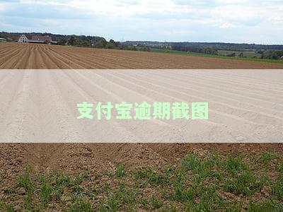 支付宝逾期截图照片如何处理及使用