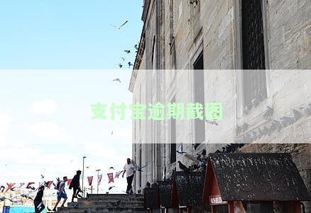 支付宝逾期截图制作及相关要点