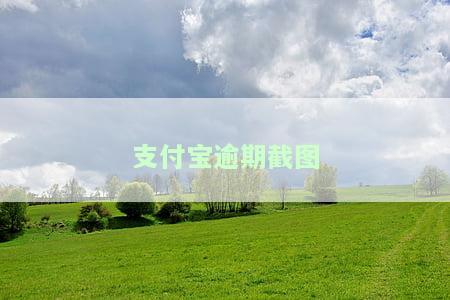 支付宝逾期截图8000元，查看