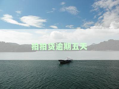 拍拍贷逾期五天了为什么会有要账公司给我家里人打电话？