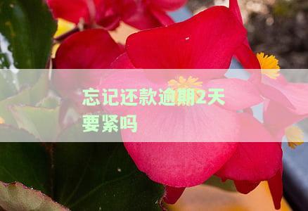 信用卡不小心逾期2天的影响和处理方法