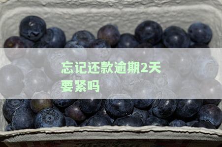 忘记还款逾期2天要紧吗