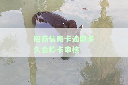 2021年招商信用卡逾期多久上征信