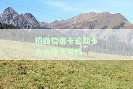 招商银行的信用卡逾期：全额还清、逾期5天上征信、是否扣蓄卡钱、逾期两年问题解答