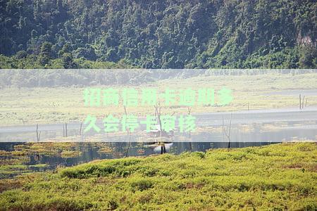 招商信用卡逾期多久会停卡审核