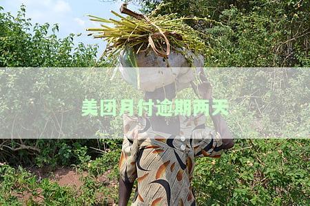 美团月付逾期两天后还款了，为何不能使用？