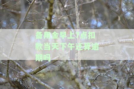备用金早上7点扣款当天下午还算逾期吗为什么