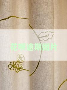 2023年8月花呗逾期图片及后果