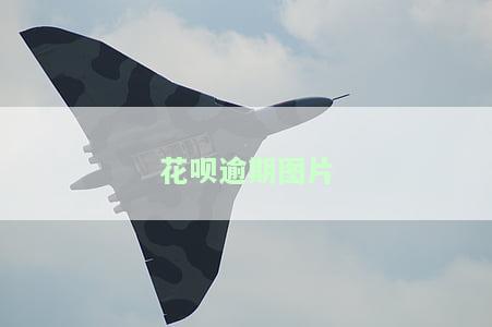 欠款截图生成器2022年5月，信用卡欠款截图生成器