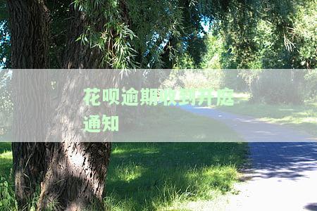 花呗逾期收到开庭通知怎么办