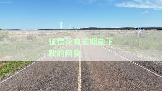 征信花有逾期也能下款的口子