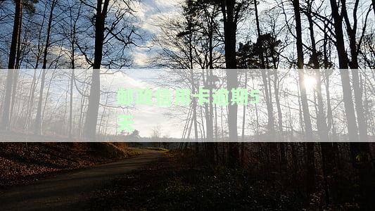 邮政信用卡逾期5天上征信吗及影响与应对