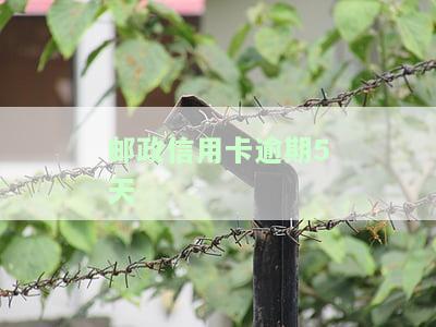 邮政信用卡逾期5天会有不良记录吗？怎么办？