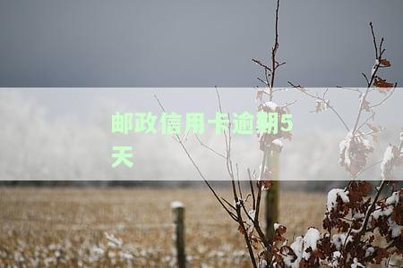 邮政信用卡逾期5天会上征信吗？