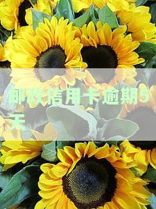 邮政信用卡逾期5天