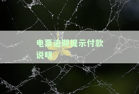 电票逾期提示付款说明怎么写