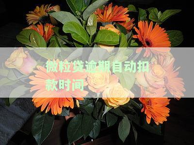 微粒贷逾期扣款时间是多久？