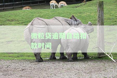 微粒贷逾期后自动扣费金额怎么算