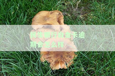 民生银行白金卡逾期会怎么样吗