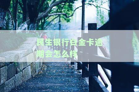 民生银行白金卡有年费吗及其金额