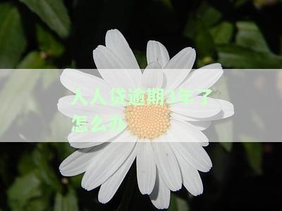 人人贷逾期3年了怎么办