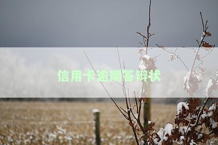 信用卡逾期答辩状请求事写因为疫情可以吗