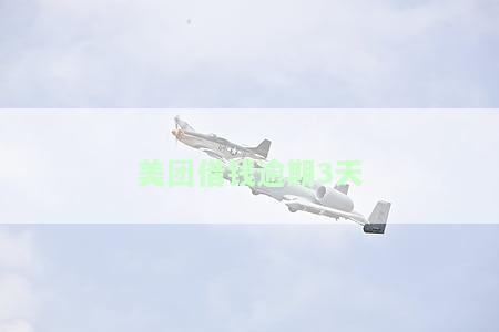 美团借钱逾期3天还进去还能借出来吗