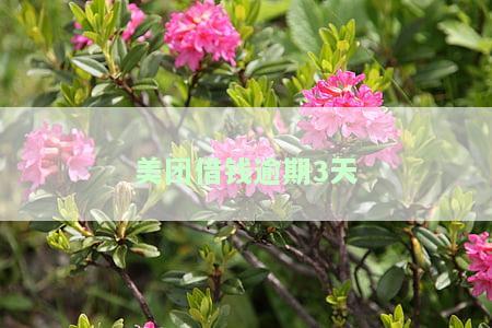 美团借钱逾期3天打电话威胁：意思及相关后果