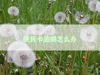 便民卡逾期怎么办，利息逾期了会怎样？