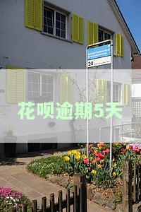 花呗逾期5天了,现在还了,怎么可以恢复使用额度