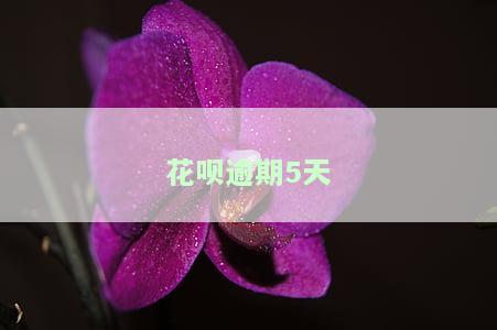 花呗逾期5天
