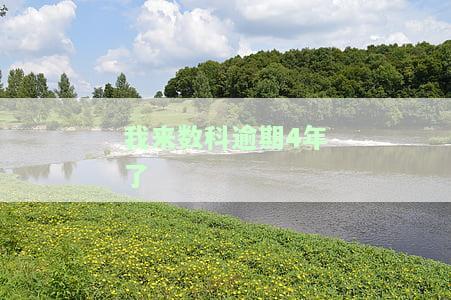我来数科逾期亲身经历及后果