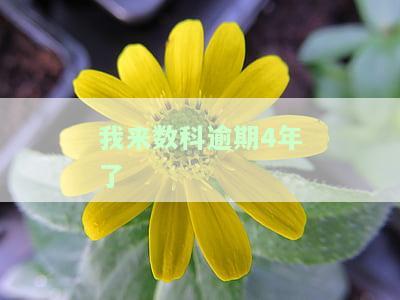 我来数科逾期多久他会起诉，逾期无力还款最佳处理方法，网贷还不上最坏结果