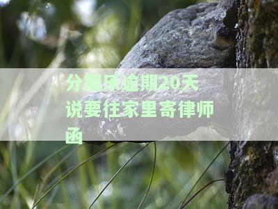分期乐逾期收到律师函是真的还是假的，如何判断催收律师函真伪？