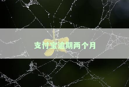 支付宝逾期两个月后全部还上会影响信用吗
